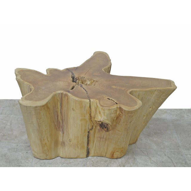 Contemporary Organic Modern Nature Wood Color Coffee Table For Sale - Image 3 of 7