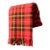 Vintage Plaid Throw Blanket For Sale