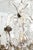 Metal Exceptional Early 20th C. Louis XV Silvered Bronze & Crystal Chandelier For Sale - Image 7 of 9