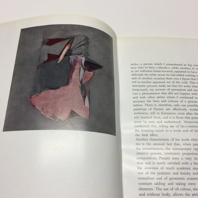 1960s 1963 Luigi Parzini Book by Gillo Dorfles For Sale - Image 5 of 10