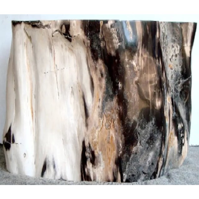 Organic Petrified Wood Stump - Table - #915 (Rosewood) - Supellex For Sale - Image 4 of 4