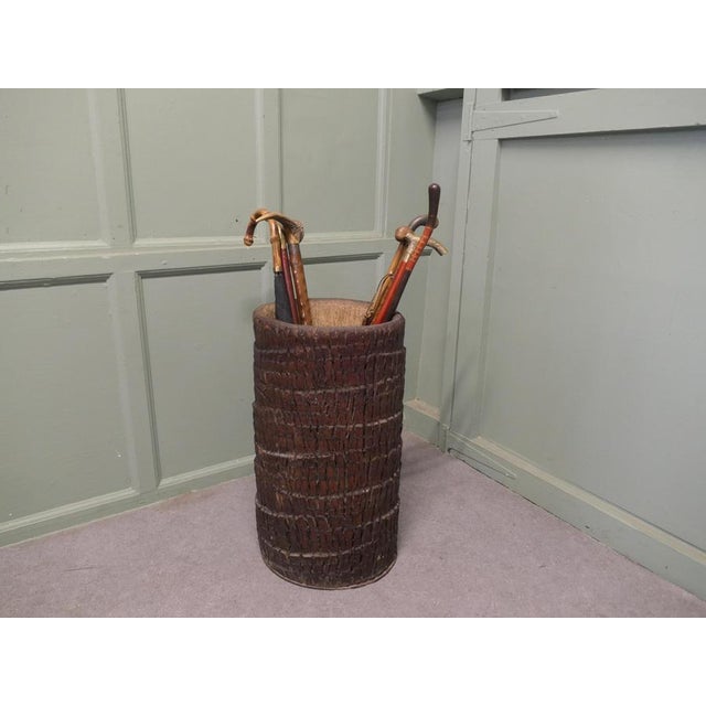 Hollow Palm Tree Trunk Stick Stand, 1960 For Sale - Image 7 of 8