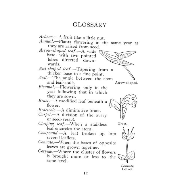 1950s "The Observer's Book of Wild Flowers" Book 1958 Stokoe, w.j. [Compiled By] For Sale - Image 5 of 7