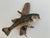 Largemouth Bass Taxidermy by Heinemann Taxidermy-American Sporting Folk Art, Mid-20th Century For Sale - Image 12 of 14