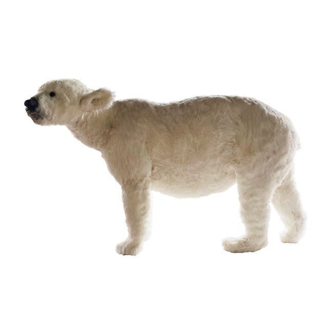Textile Big White Plush Polar Bear, 2000s For Sale - Image 7 of 7