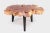 2020s Modern Lychee Living Edge Coffee Table 95 For Sale - Image 5 of 6