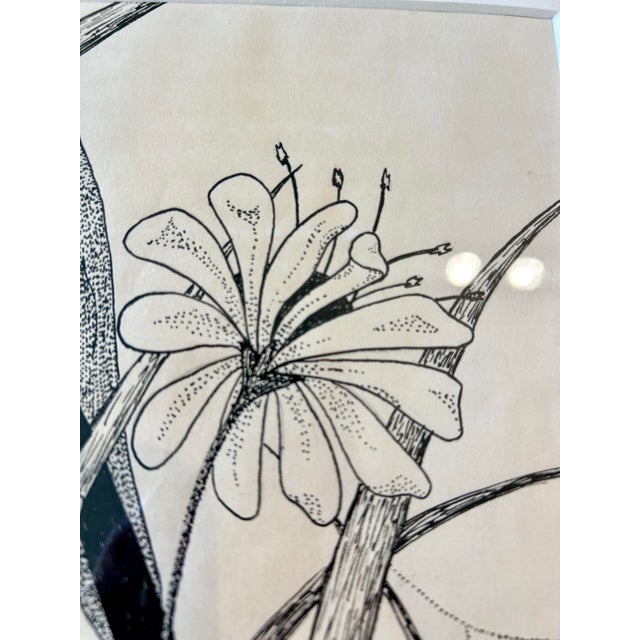 Wood 1978 Original Pen and Ink Drawing Set of 2, Framed, Mushrooms and Butterflies For Sale - Image 7 of 10