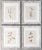 Custom Framed Antique Swedish Herbarium Botanical Specimens, Circa 1910 - Set of 4 For Sale - Image 9 of 9