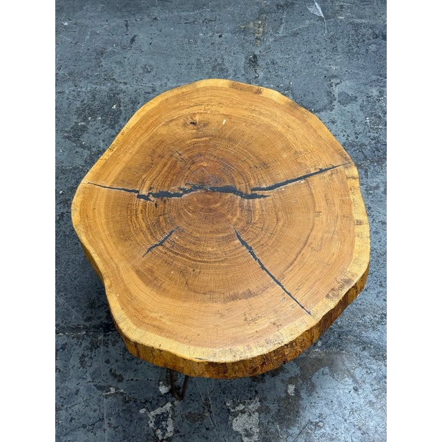 Live Edge Wood Slab Coffee Table For Sale In San Francisco - Image 6 of 12