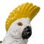 A William Brownfield Majolica Pitcher Modeled as a Cockatoo, English, Dated 1877 For Sale - Image 9 of 18