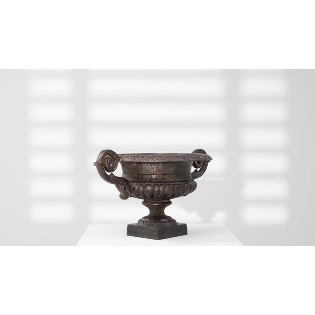 Black 19th Century France Black Iron Planter For Sale - Image 8 of 8