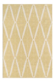 Example of Contemporary Area Rugs