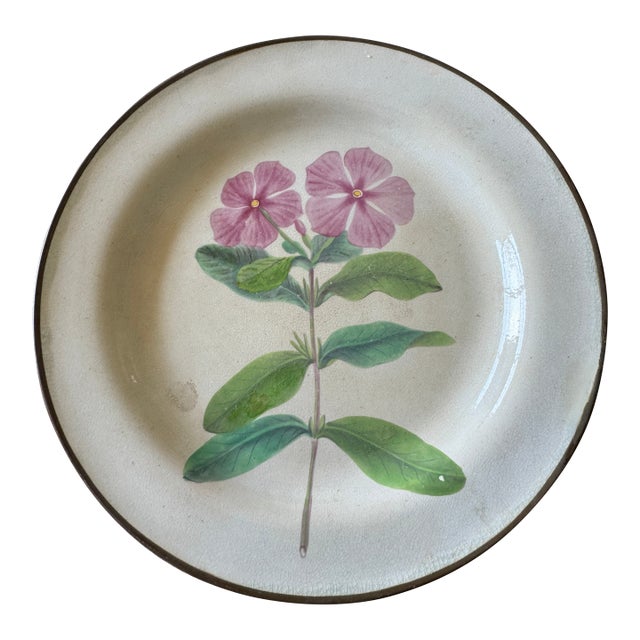 1810 French "Creil Et Montereau" Botanical, Pearlware Desert Plate For Sale
