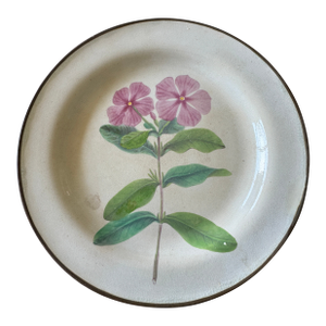 1810 French "Creil Et Montereau" Botanical, Pearlware Desert Plate