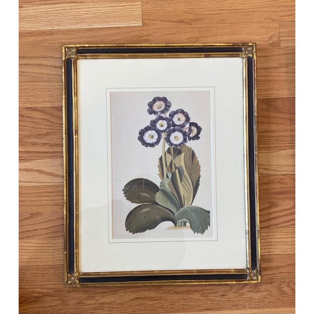 Traditional 1960s Gilded Black and Gold Gilt Framed Purple Botanical Flower Prints - Set of 2 For Sale - Image 3 of 6