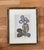 Traditional 1960s Gilded Black and Gold Gilt Framed Purple Botanical Flower Prints - Set of 2 For Sale - Image 3 of 6