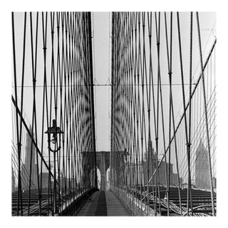 Suspension Wires For Sale