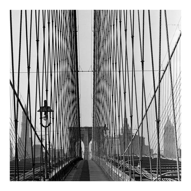 Suspension Wires For Sale