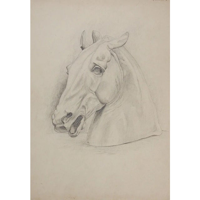 Antique Horse Carving Drawing Study For Sale - Image 4 of 4