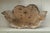 Paint 18th Century French Baroque Carved Giltwood Cherub Head Fragment Wall Ornament For Sale - Image 7 of 12
