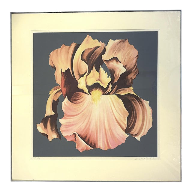 1978 Lowell Nesbitt 'Iris' Lithograph Pencil Signed, Numbered 23/30 and Framed For Sale