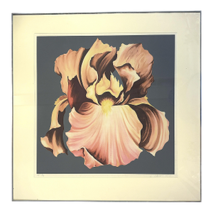 1978 Lowell Nesbitt 'Iris' Lithograph Pencil Signed, Numbered 23/30 and Framed