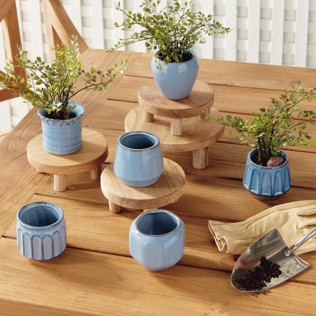 Contemporary Dezie Mini Pots, Set Of 6 For Sale - Image 3 of 14