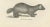 Mid 19th Century C.C. G. Zool., Collared Peccary, Javanese Skunk and Nordic Wolverine, 1836, Lithograph For Sale - Image 5 of 10