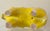 Mid Century Aldo Londi Attributed Glazed Terracotta Horse For Sale - Image 14 of 15
