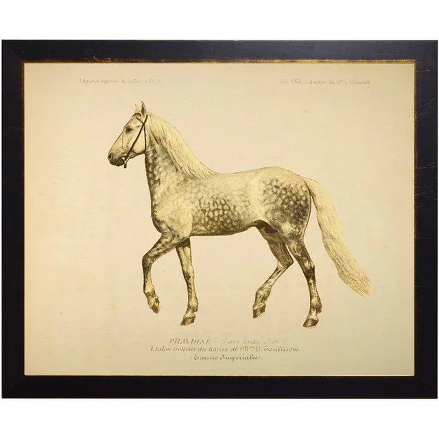 Wilbur the Horse Bookplate 18x14