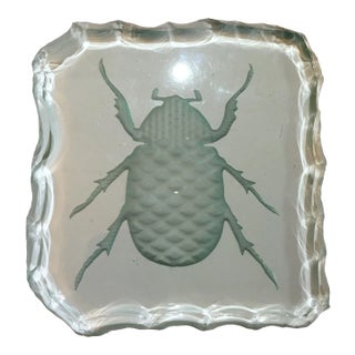 Glass Engraved Scarab Beetle Coaster For Sale