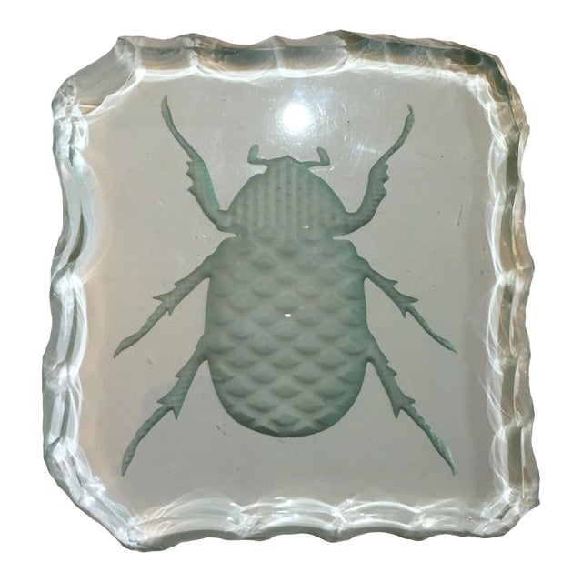Glass Engraved Scarab Beetle Coaster For Sale