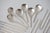 Edo Japanese Cuisine Gourmet Cutlery Set by Bibs Hosak-Robb for Robbe & Berking, 1980s, Set of 24 For Sale - Image 4 of 18