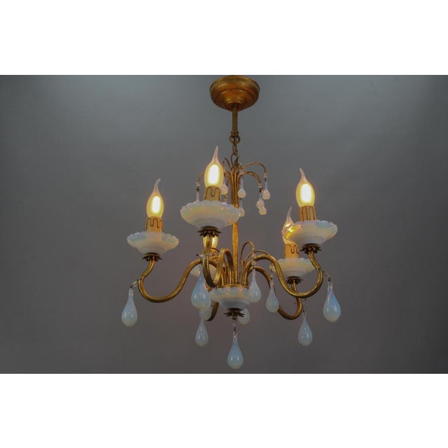Metal Italian Florentine Gilt Metal and White Opalescent Glass Five-Light Chandelier, 1970s For Sale - Image 7 of 18