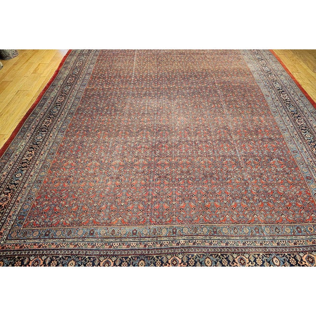 Early 20th Century Bidjar Rug For Sale - Image 10 of 18