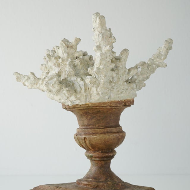 Italian Faux Coral Assemblage on an Antique Italian Urn Decorative Sculpture For Sale - Image 3 of 15