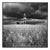 Paul Cooklin, Happisburgh Lighthouse II, Norfolk, 2013, Edition of 50 For Sale