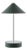 Nomelle Accent Table Lamp Brushed Green For Sale