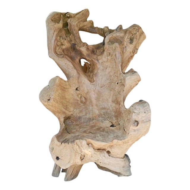 Vintage Giant Teak Root Throne Chair For Sale