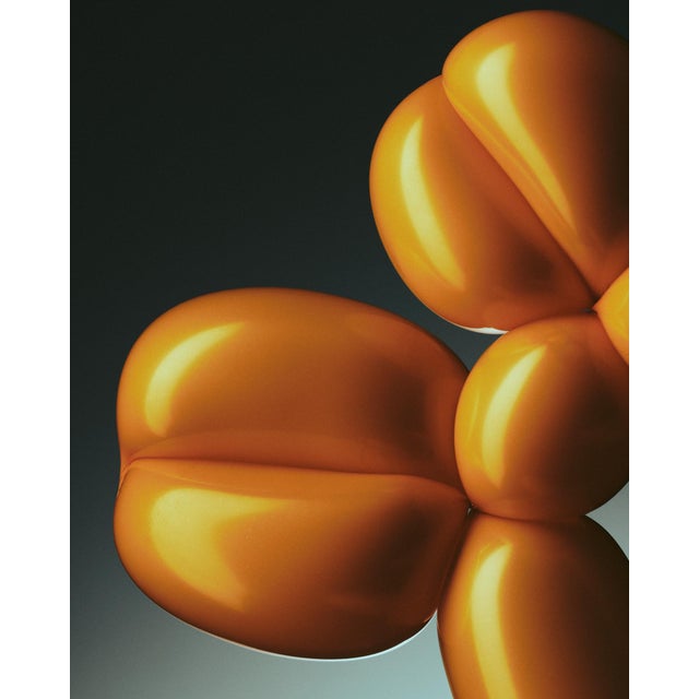 Propagación by Oscar Calleja – Minimalist Balloon Still Life | Unframed Archival Fine Art Print For Sale