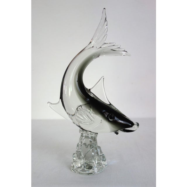Large Murano Glass Fish by G. Campanella, Italy, 1960s, Set of 2 For Sale - Image 6 of 14