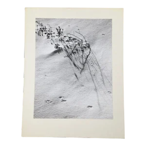 “New Snow” by Dean W Hand Mid Century Modernist Black and White Photograph