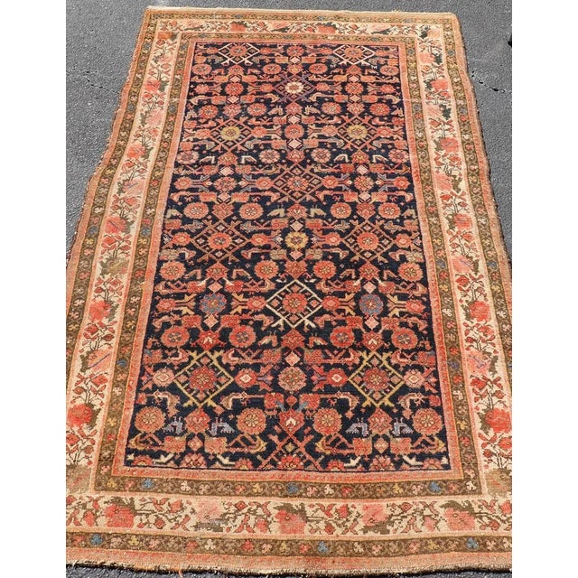 Early 20th Century Antique Persian Kurdish Rug With Herati Pattern on a Blue Field 4'1 X 7'7 For Sale - Image 5 of 12