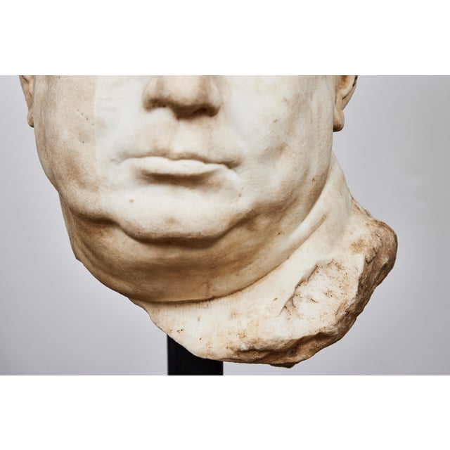 Stone Antique Bust of Roman Emperor Vitellius, c. 1550 For Sale - Image 7 of 9