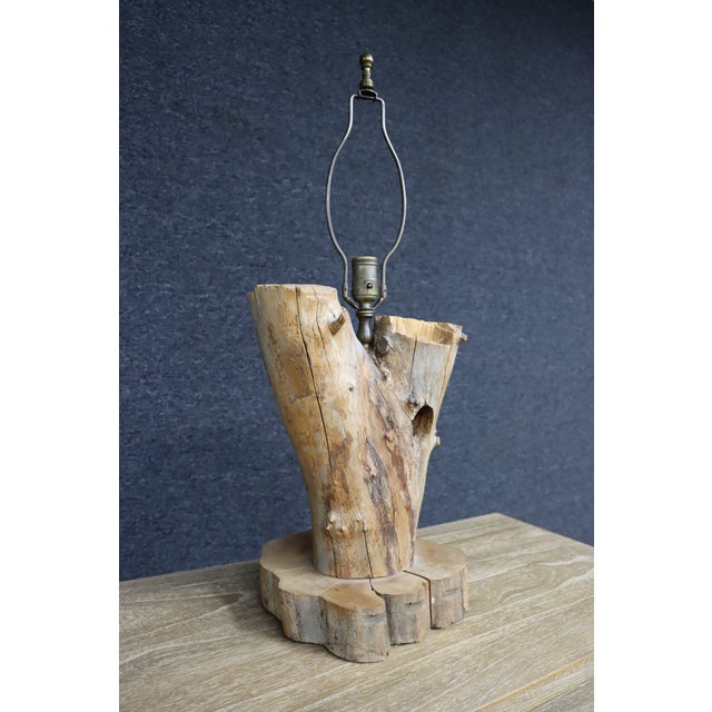 Rustic Natural Driftwood Table Lamp With Woodpecker Hole For Sale - Image 3 of 12