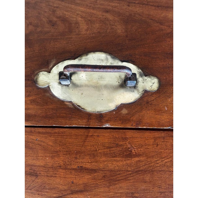1900 - 1909 Antique Camphor Wood Chest, 1900 For Sale - Image 5 of 14