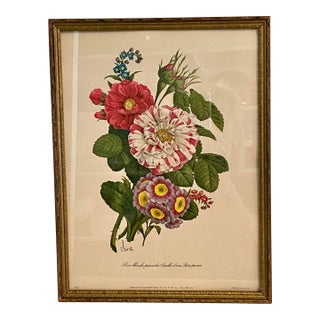 Framed 1940's Benoit Chirat Floral Botanical Lithograph Print For Sale
