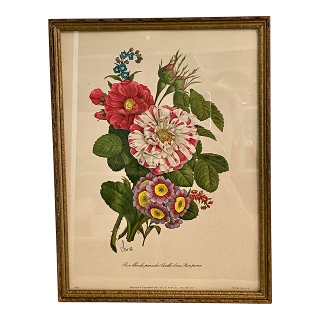 Framed 1940's Benoit Chirat Floral Botanical Lithograph Print For Sale