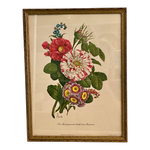 Framed 1940's Benoit Chirat Floral Botanical Lithograph Print