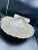 Figurative Late 20th Century Michael Aram Lions Paw Sea Shell Centerpiece Bowl For Sale - Image 3 of 12